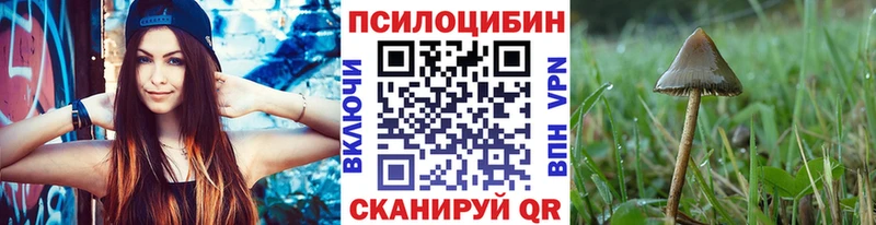 Купить  Новосиль  Галлюциногенные грибы Magic Shrooms 