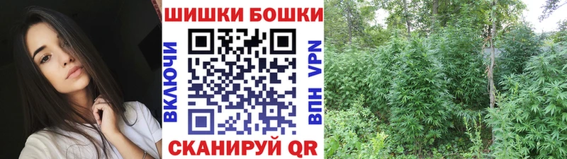 Купить где  Новосиль  Шишки марихуана MAZAR 